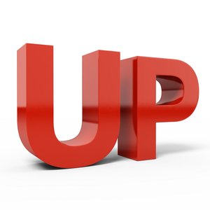 宠物白内障症状识别与手术治疗时机